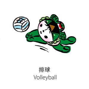 Volleyball